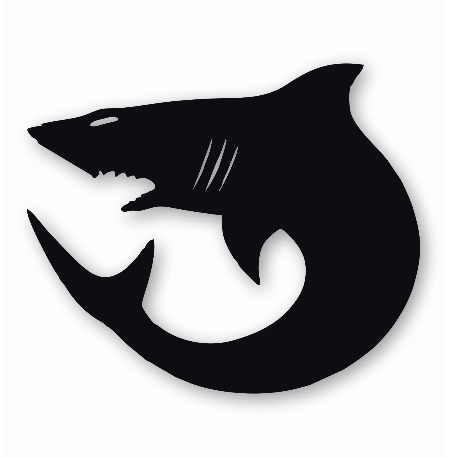 Carcharodons Shark Warhammer – Vinyl Decal Sticker – CHOOSE Size & Color